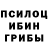 Псилоцибиновые грибы Psilocybine cubensis Elias Rogov